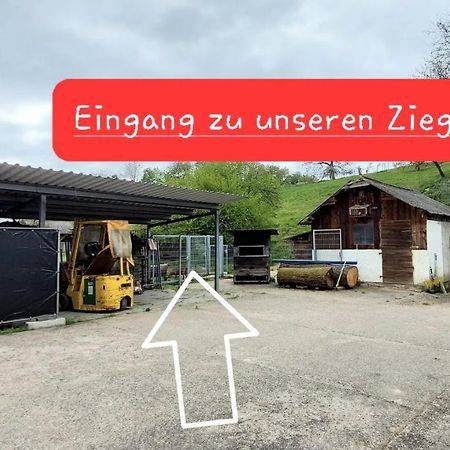 Ferienwohnung/Monteurzimmer Auf Dem Bauernhof Mörlenbach Eksteriør bilde