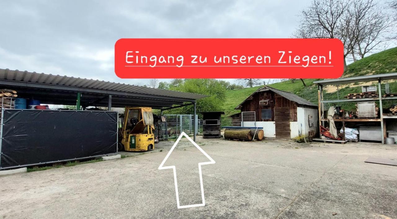 Ferienwohnung/Monteurzimmer Auf Dem Bauernhof Mörlenbach Eksteriør bilde